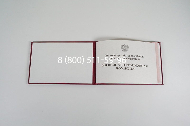 Диплом доктора наук 1995-2006 года в Долгопрудном