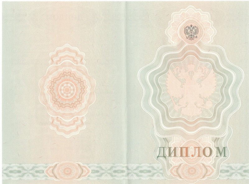 Купить Диплом о начальном образовании 2007-2009 годов в Долгопрудном Купить Диплом о начальном образовании 2007-2009 годов в Долгопрудном